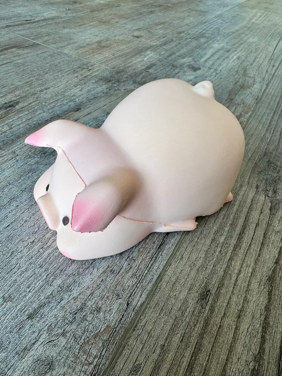 Slow Rise Pig Squishy